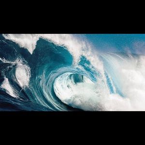 Meet your Posher, Sofia